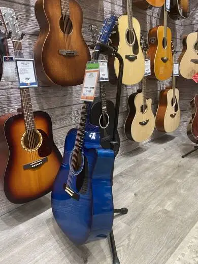 Eleca Acoustic Guitar 2
